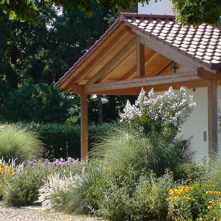 Villa Gina Zero Branco Екстериор снимка